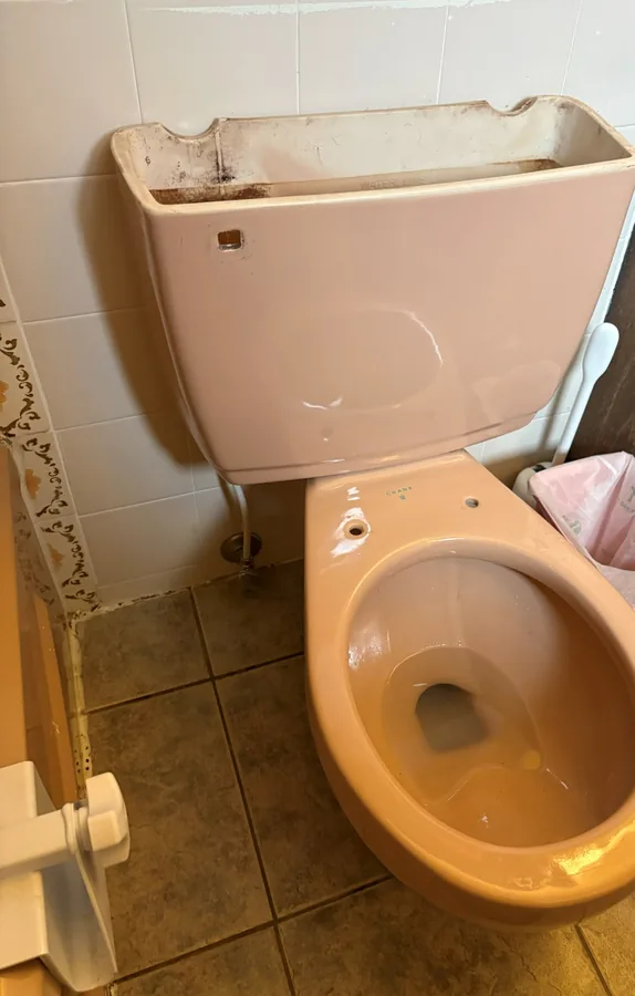 Before: An old coloured toilet with its tank lid off, before replacement